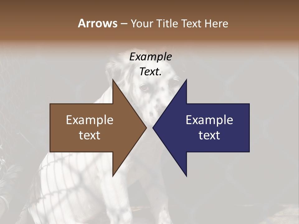 Slimming Fitness Toned PowerPoint Template
