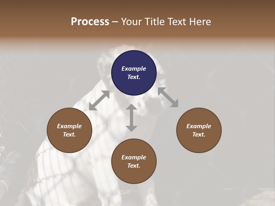 Slimming Fitness Toned PowerPoint Template