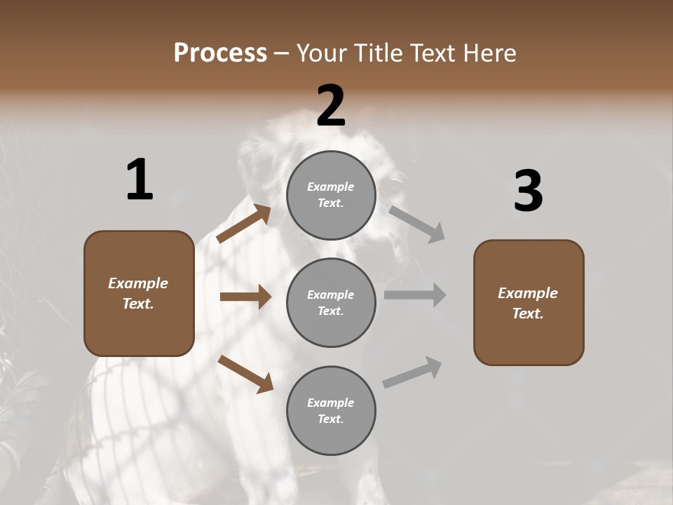 Slimming Fitness Toned PowerPoint Template