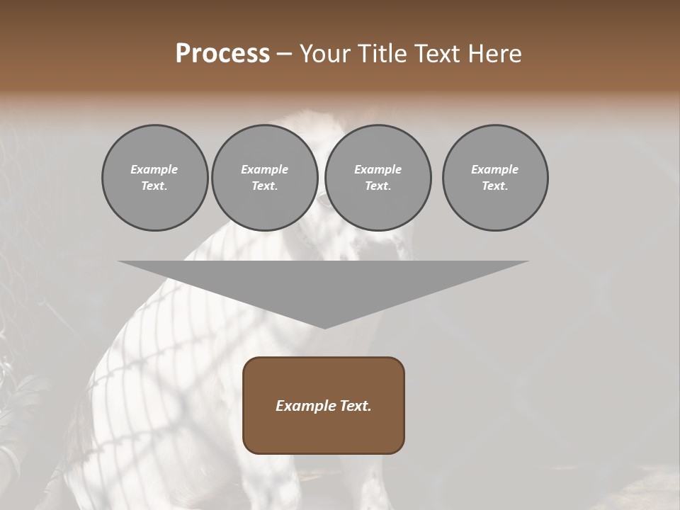 Slimming Fitness Toned PowerPoint Template