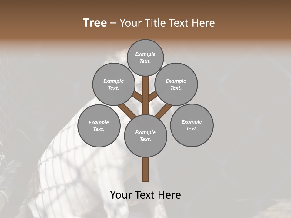 Slimming Fitness Toned PowerPoint Template