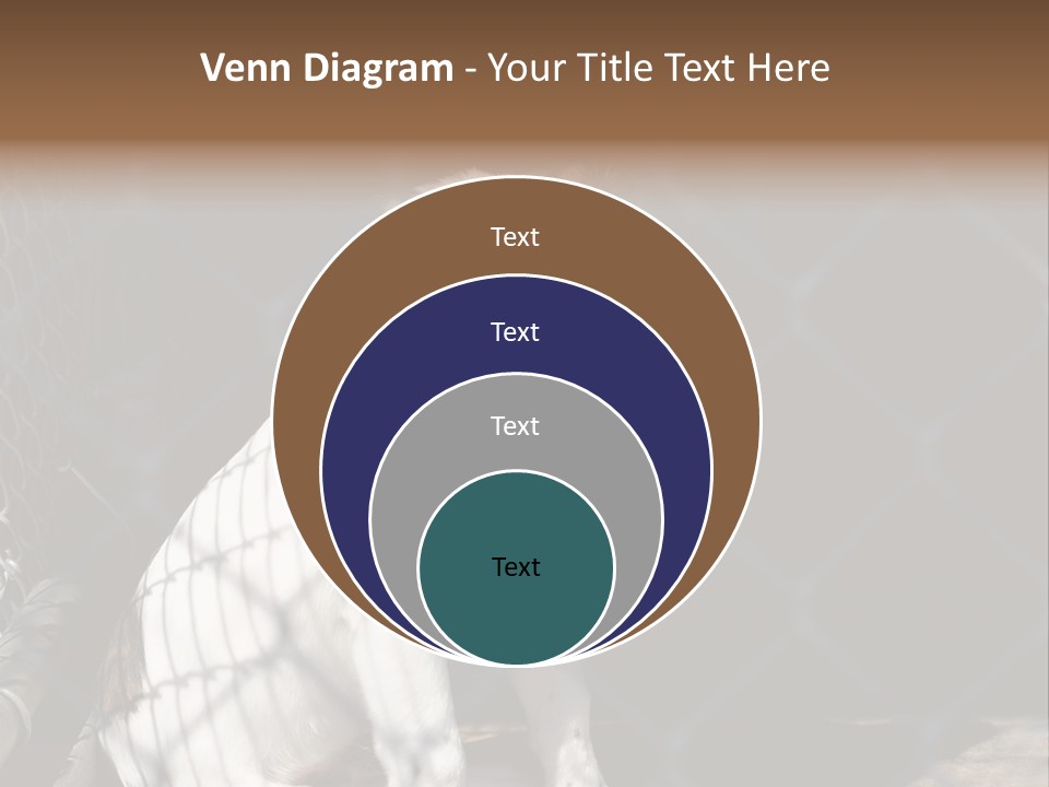 Slimming Fitness Toned PowerPoint Template