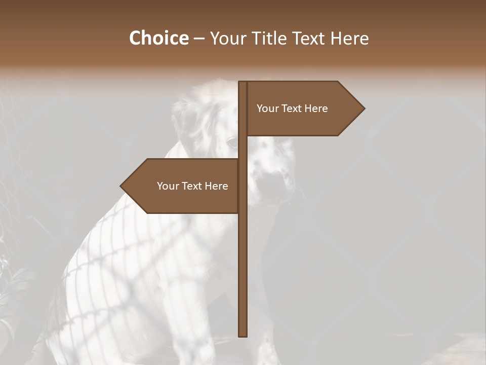 Slimming Fitness Toned PowerPoint Template