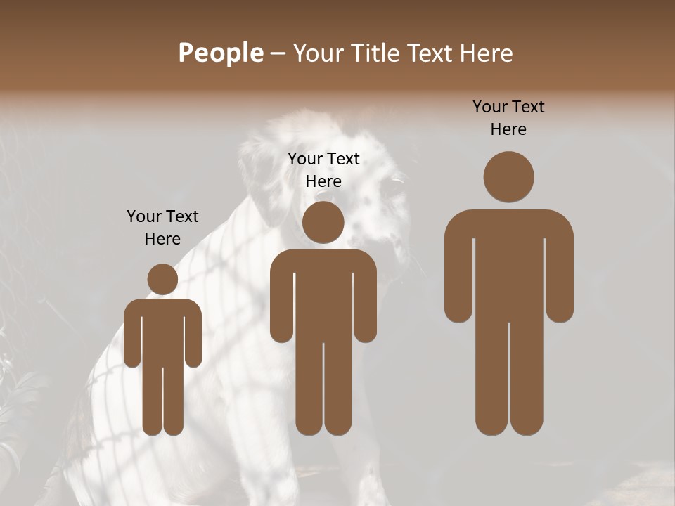 Slimming Fitness Toned PowerPoint Template