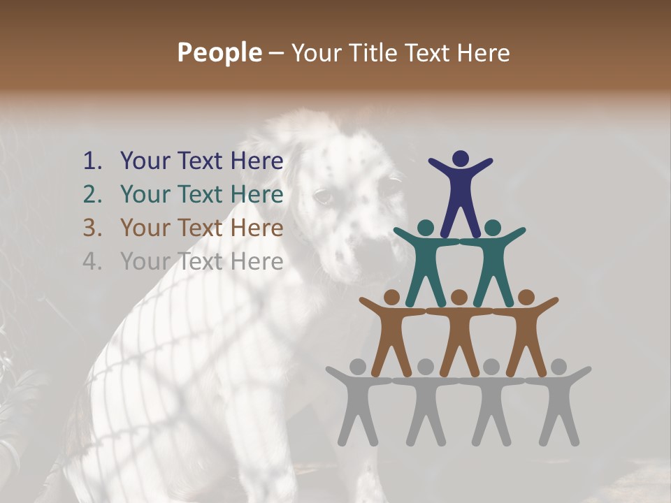 Slimming Fitness Toned PowerPoint Template