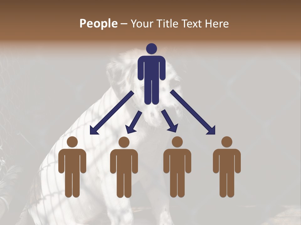 Slimming Fitness Toned PowerPoint Template