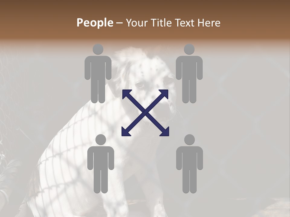 Slimming Fitness Toned PowerPoint Template