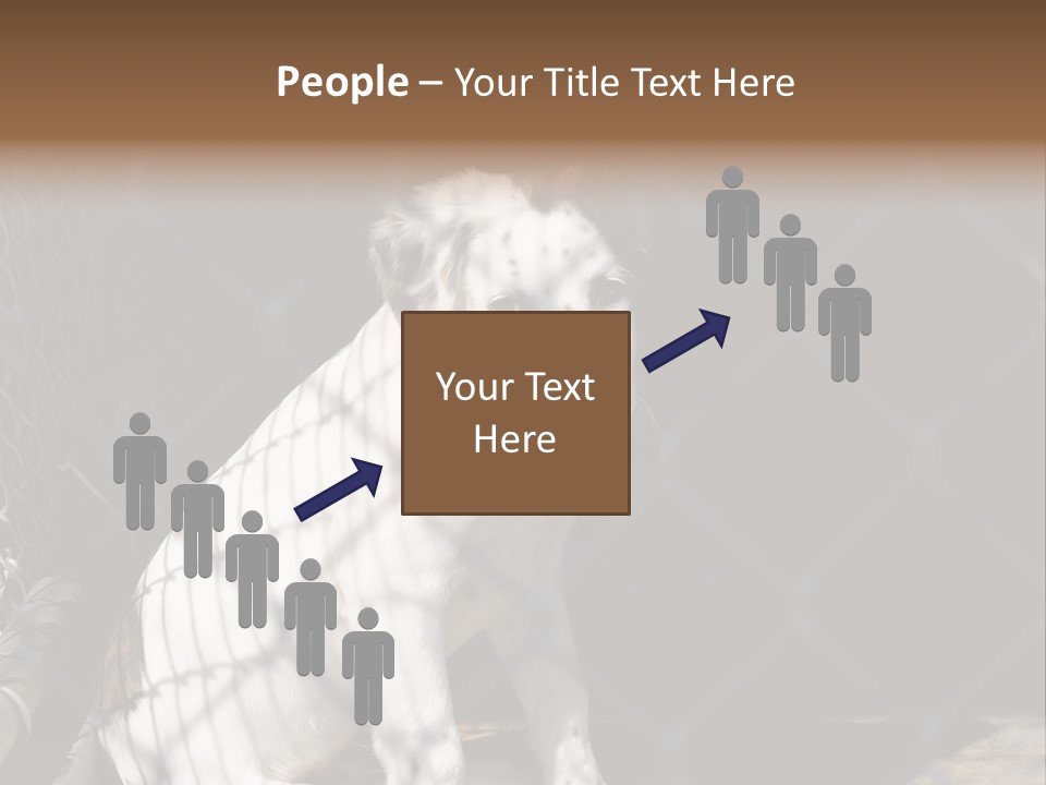 Slimming Fitness Toned PowerPoint Template