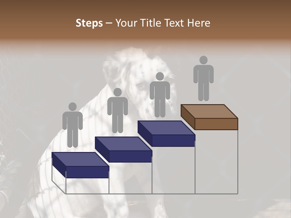 Slimming Fitness Toned PowerPoint Template