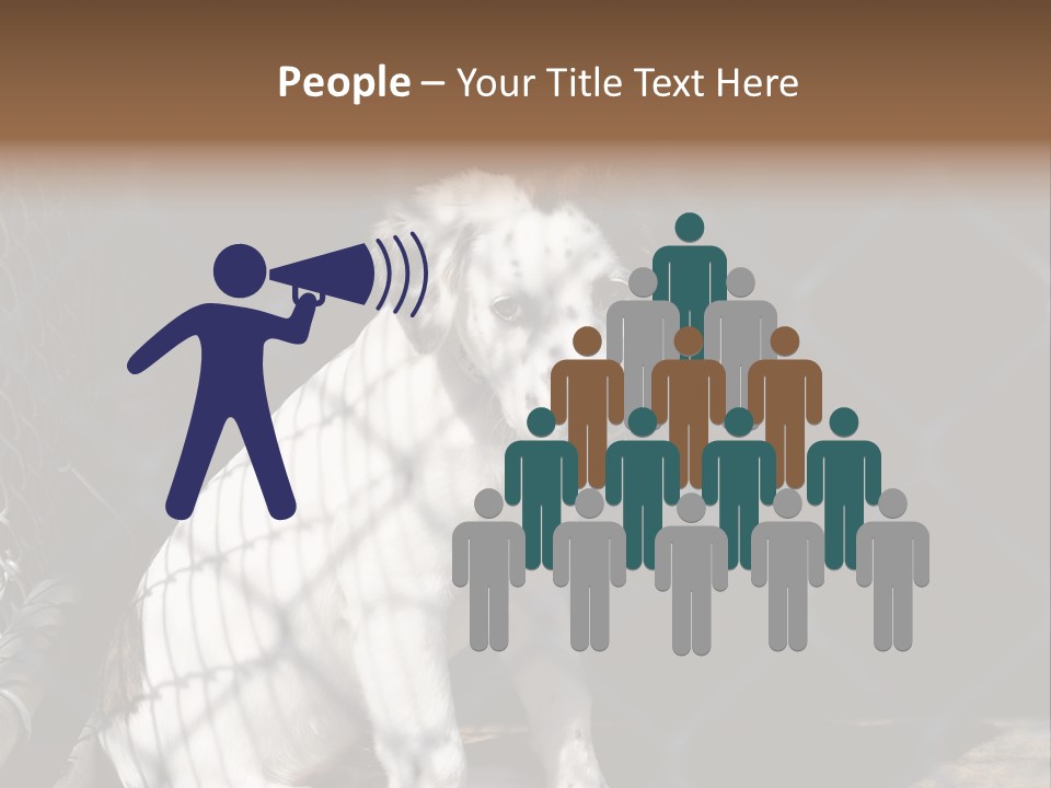 Slimming Fitness Toned PowerPoint Template