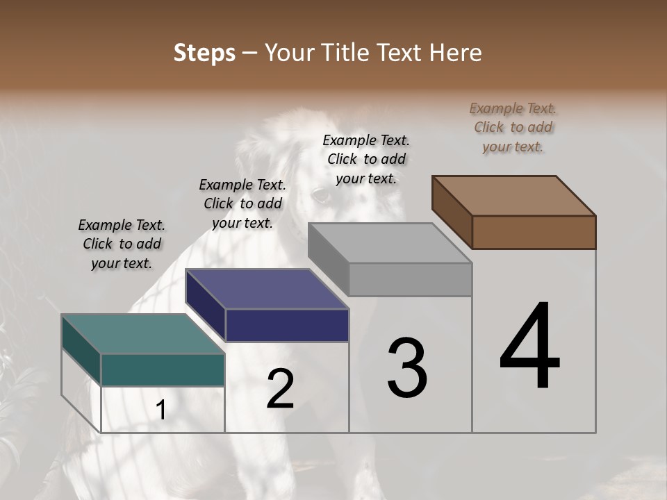 Slimming Fitness Toned PowerPoint Template