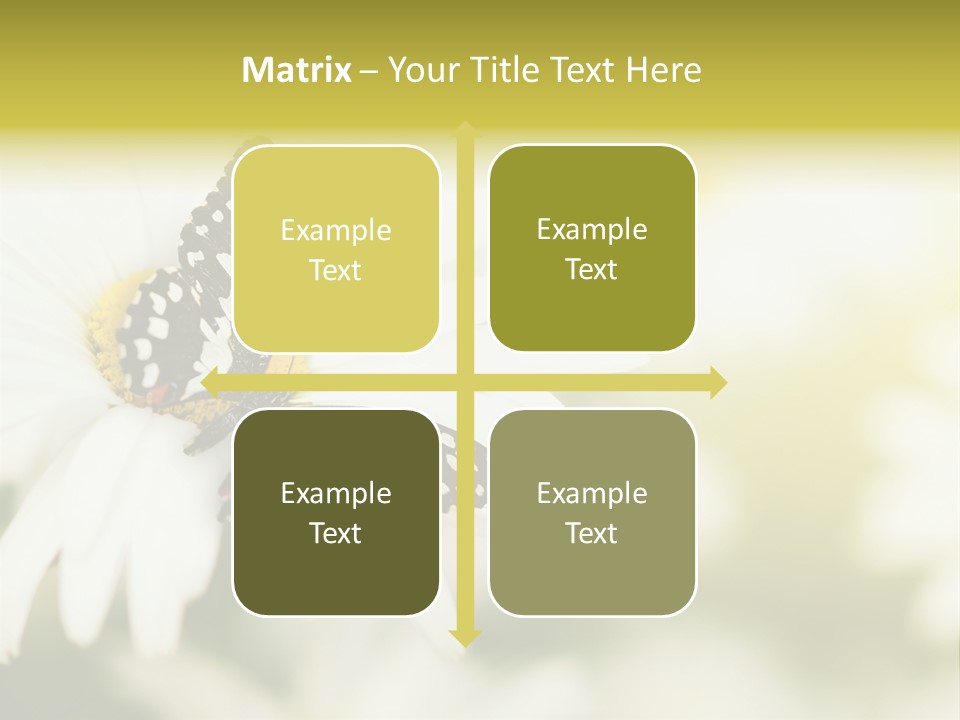 Flower Field Beauty PowerPoint Template