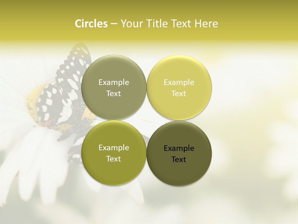 Flower Field Beauty PowerPoint Template