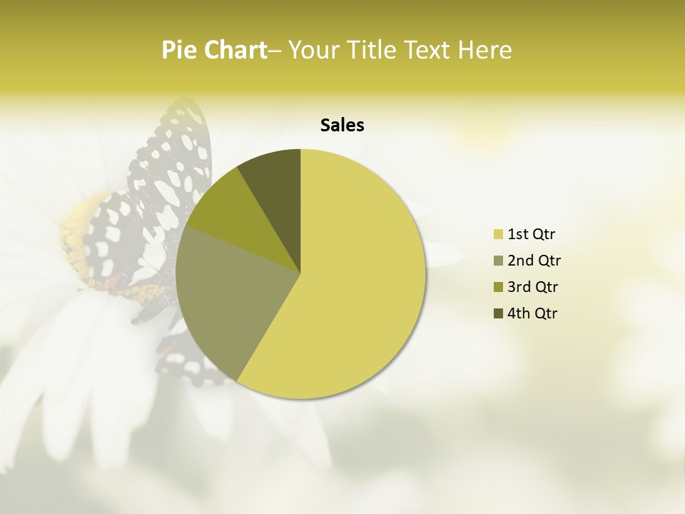 Flower Field Beauty PowerPoint Template