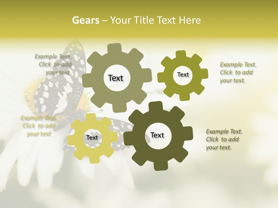 Flower Field Beauty PowerPoint Template