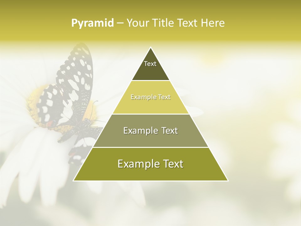 Flower Field Beauty PowerPoint Template