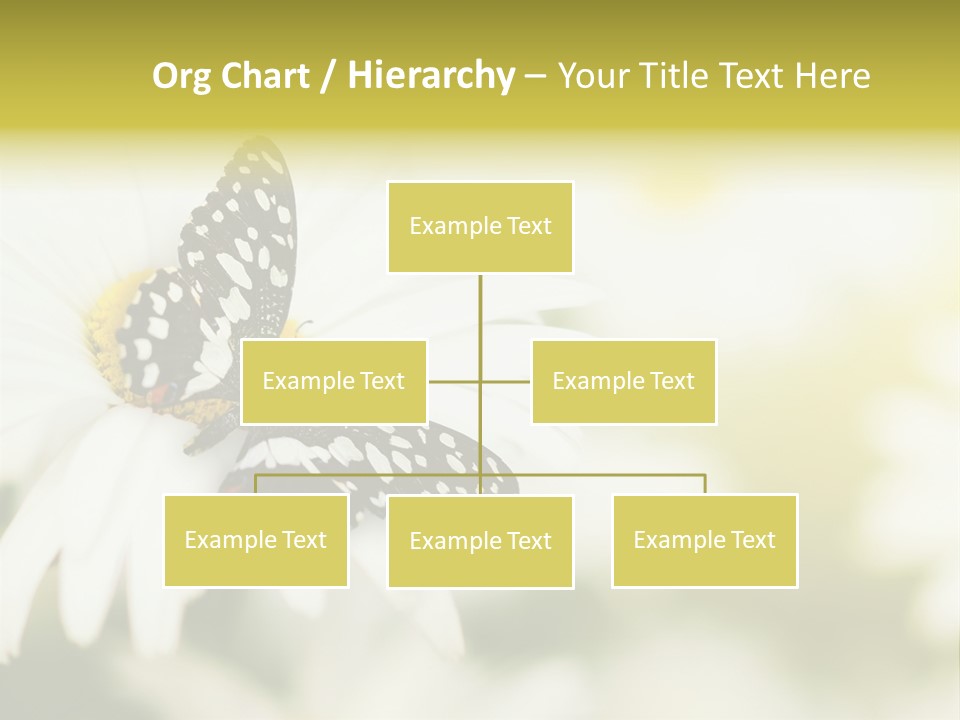 Flower Field Beauty PowerPoint Template