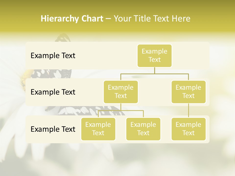 Flower Field Beauty PowerPoint Template