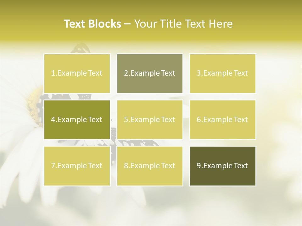 Flower Field Beauty PowerPoint Template