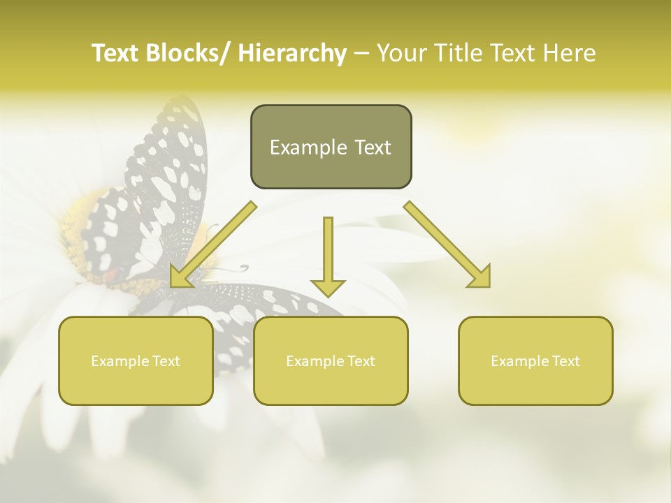 Flower Field Beauty PowerPoint Template