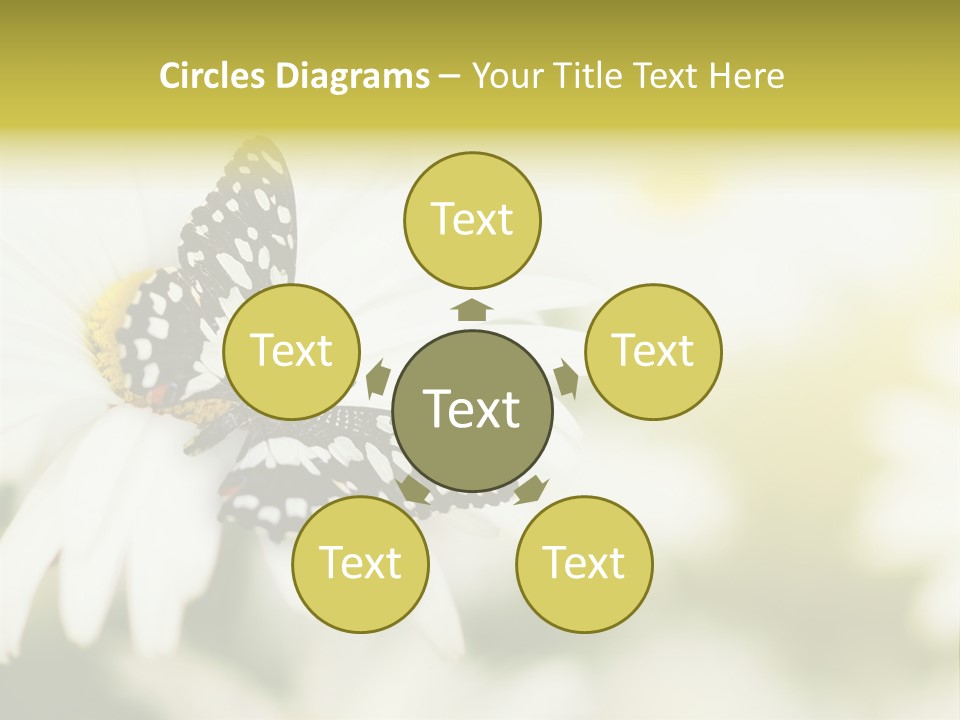 Flower Field Beauty PowerPoint Template