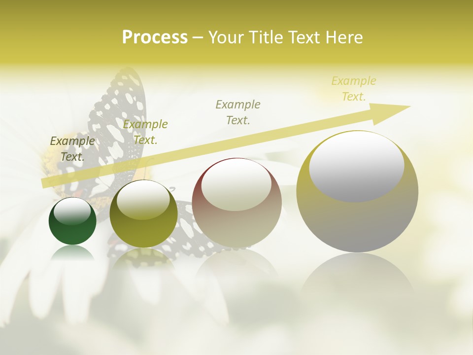 Flower Field Beauty PowerPoint Template