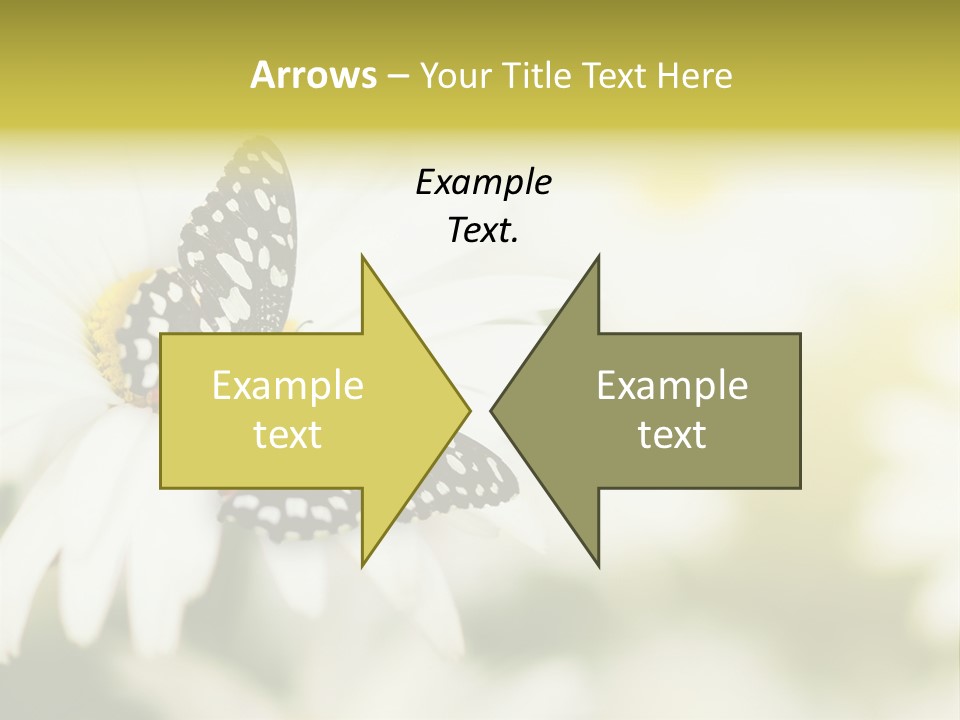 Flower Field Beauty PowerPoint Template