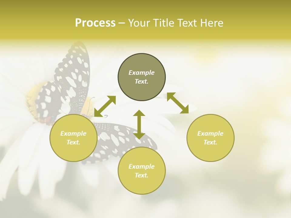 Flower Field Beauty PowerPoint Template