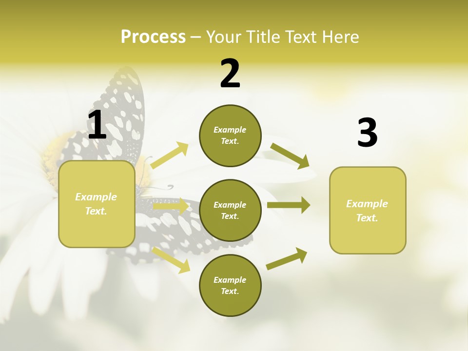 Flower Field Beauty PowerPoint Template