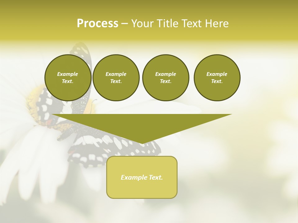 Flower Field Beauty PowerPoint Template