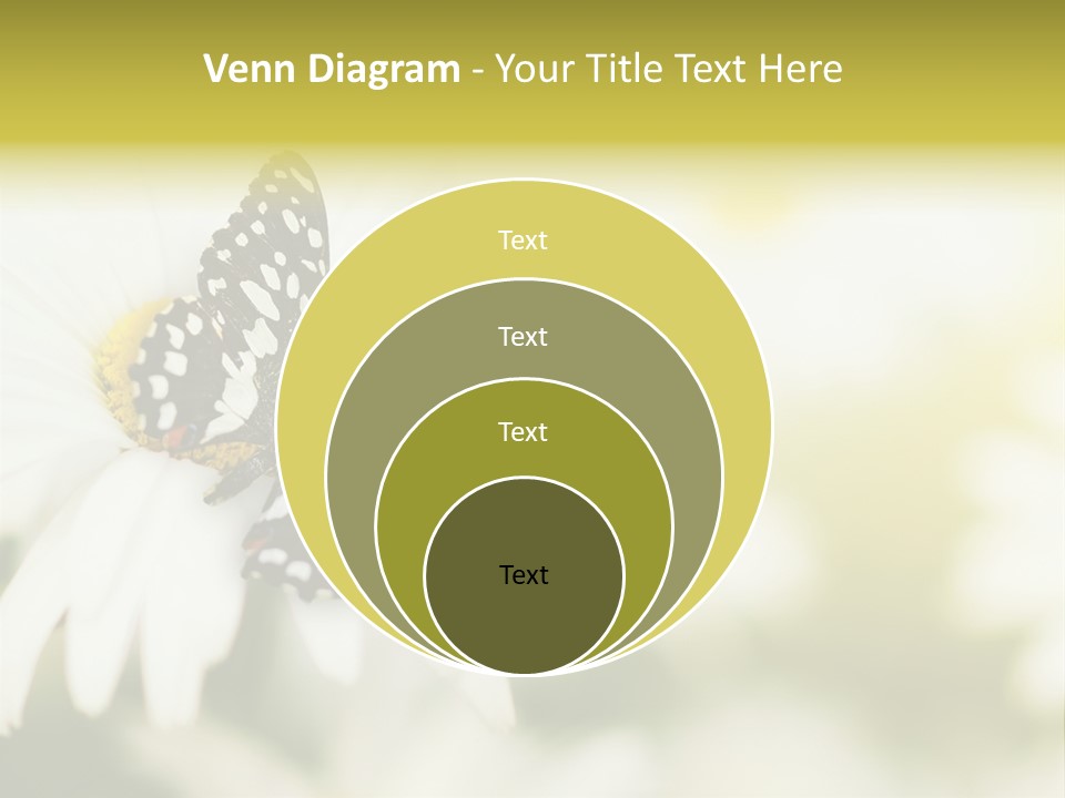 Flower Field Beauty PowerPoint Template
