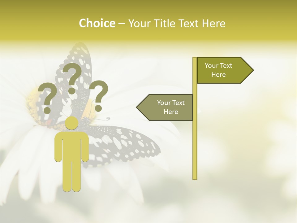 Flower Field Beauty PowerPoint Template