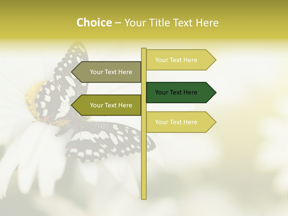 Flower Field Beauty PowerPoint Template