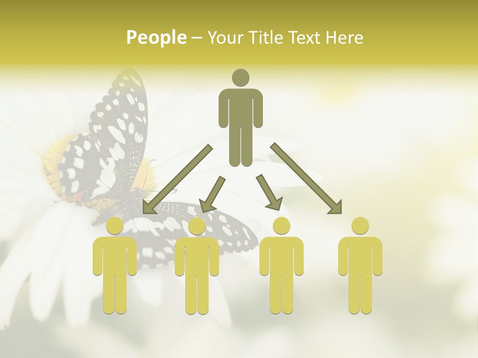 Flower Field Beauty PowerPoint Template