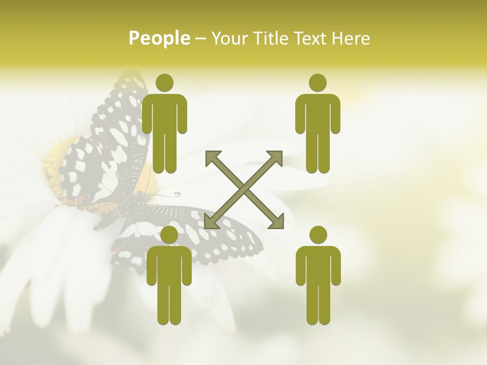 Flower Field Beauty PowerPoint Template