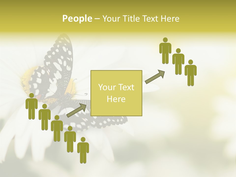 Flower Field Beauty PowerPoint Template