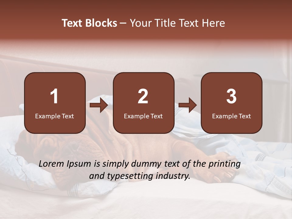 Arms  Strength PowerPoint Template