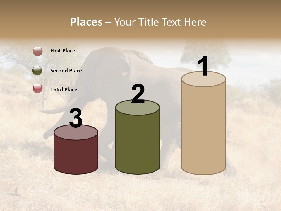Wildlife Elephant Africa PowerPoint Template