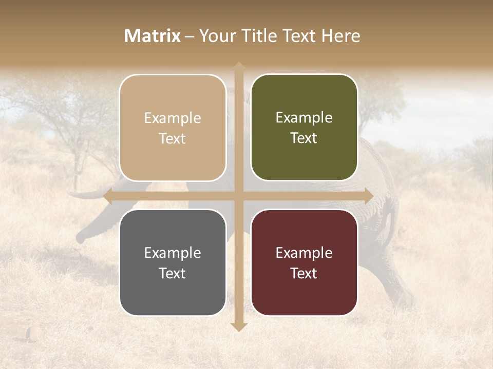Wildlife Elephant Africa PowerPoint Template