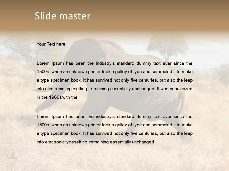 Wildlife Elephant Africa PowerPoint Template