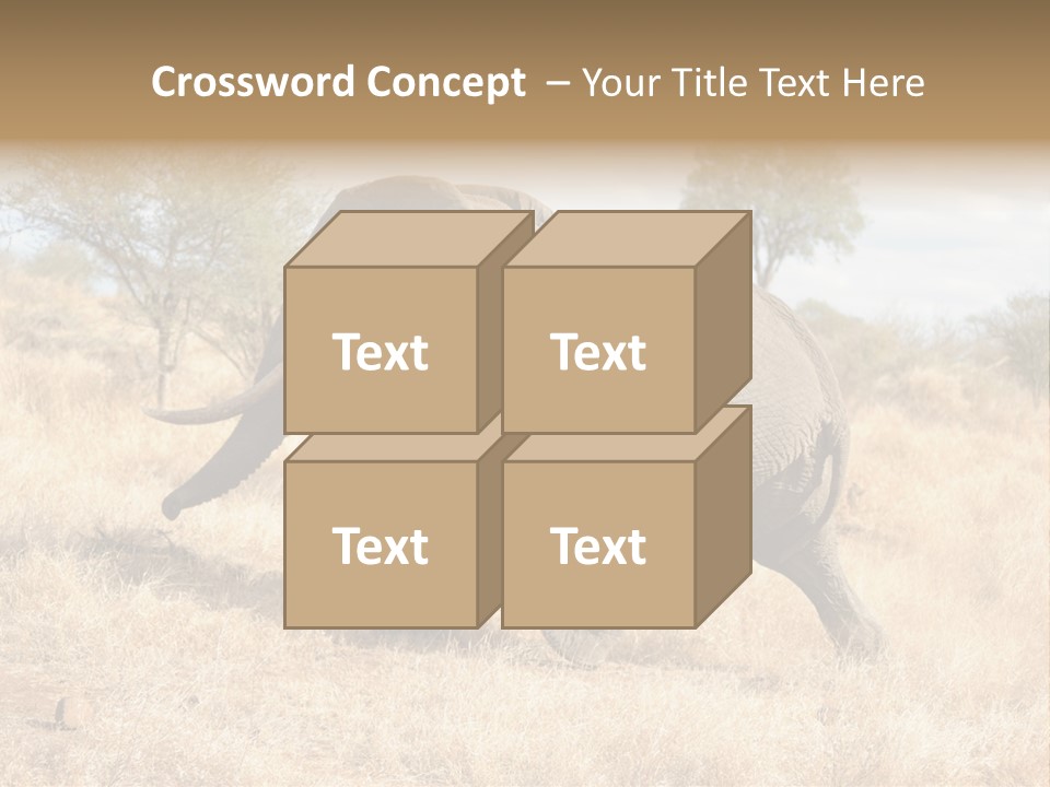 Wildlife Elephant Africa PowerPoint Template