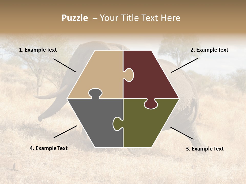 Wildlife Elephant Africa PowerPoint Template