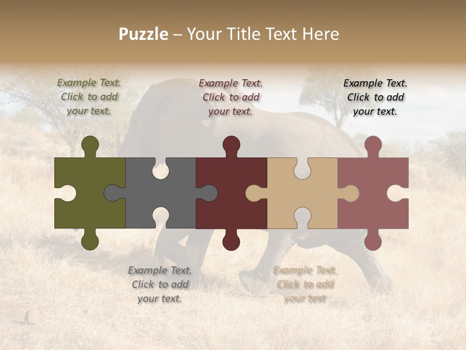 Wildlife Elephant Africa PowerPoint Template