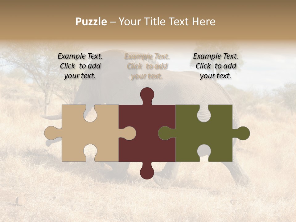 Wildlife Elephant Africa PowerPoint Template