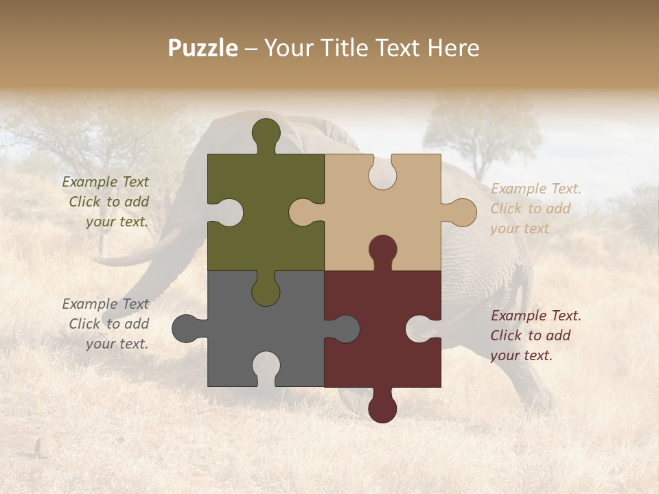 Wildlife Elephant Africa PowerPoint Template