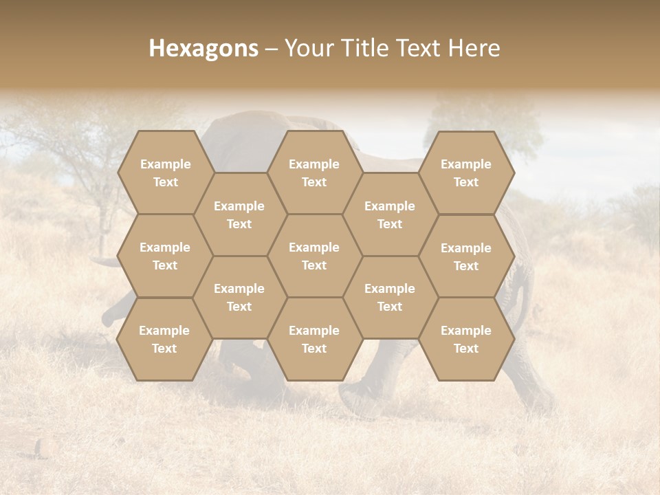 Wildlife Elephant Africa PowerPoint Template