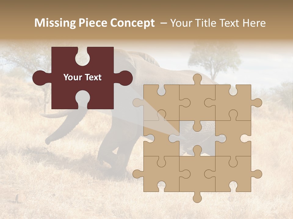 Wildlife Elephant Africa PowerPoint Template