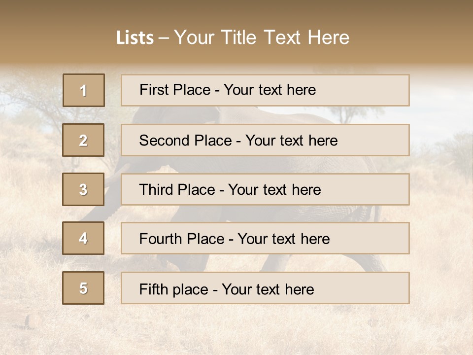 Wildlife Elephant Africa PowerPoint Template