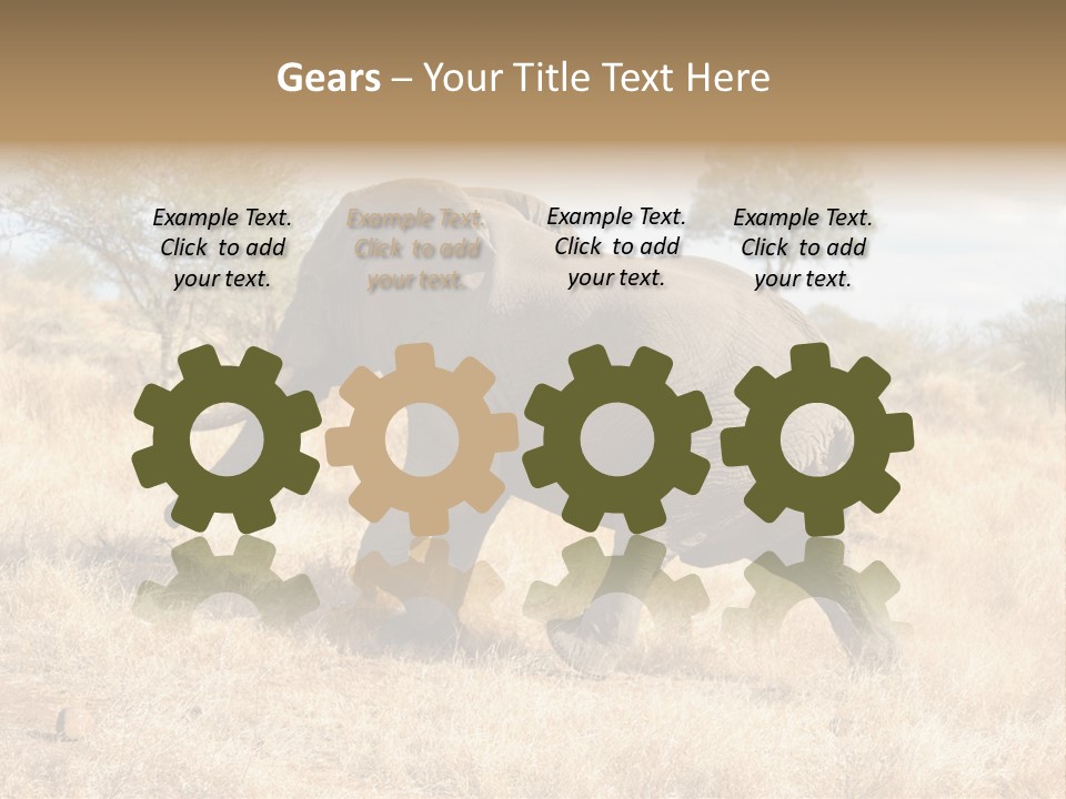 Wildlife Elephant Africa PowerPoint Template