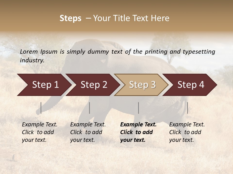 Wildlife Elephant Africa PowerPoint Template
